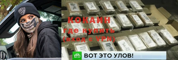 прущие грибы Заводоуковск