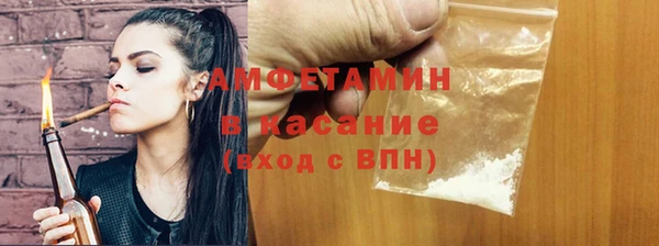 прущие грибы Заводоуковск