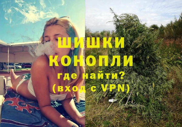 прущие грибы Заводоуковск