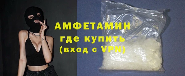 прущие грибы Заводоуковск