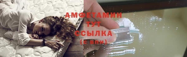 прущие грибы Заводоуковск