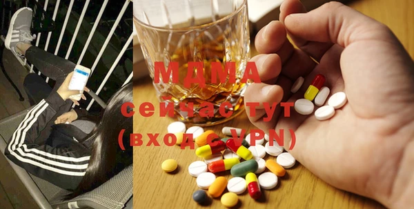 прущие грибы Заводоуковск