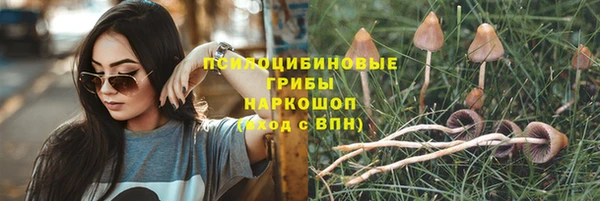молекула духа Заволжск