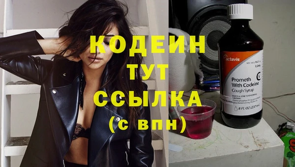 стаф Елизово