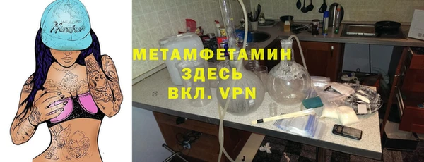 прущие грибы Заводоуковск