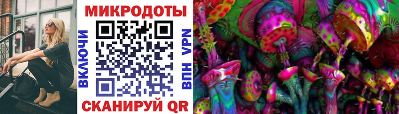 Купить  Звенигово  Галлюциногенные грибы Cubensis 